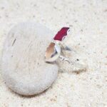 Double Aruba Sea Glass Ring - Red and Pink